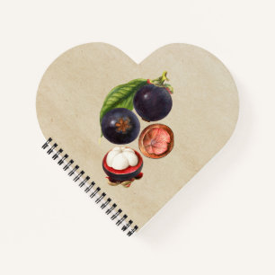 Carnet Mangosteens vintages