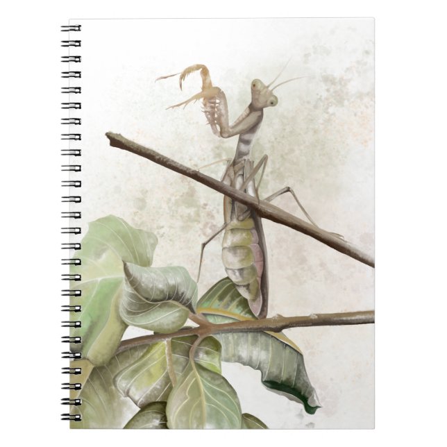 Carnet Mante religieuse aquarelle  (Devant)