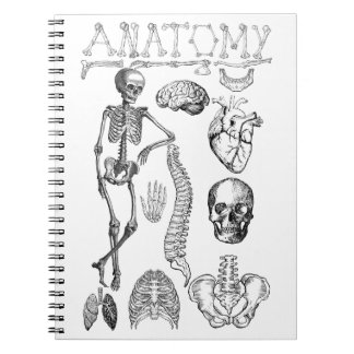 Carnet Manuel d'anatomie humaine pour notes