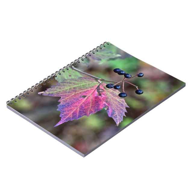 Carnet Mapleleaf Viburnum Feuilles d'automne et baies (Côté gauche)