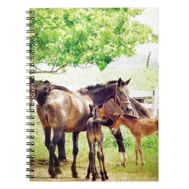Carnet Mares et poulains (Devant)