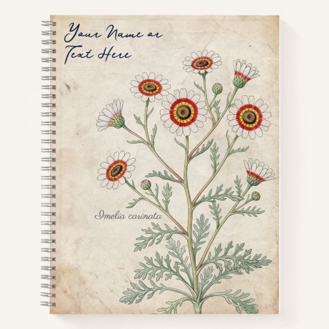 Carnet Marguerite Botanique Peinte de Style Vintage (Devant)