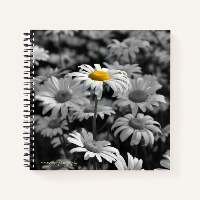 Carnet Marguerite jaune dans une mer de marguerites noire (Devant)