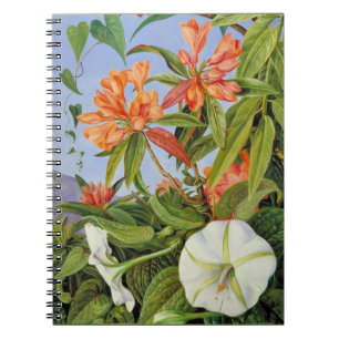 Carnet Marianne North - Javan Rhododendrum