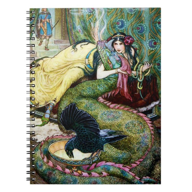 Carnet Marina et le dragon (Devant)