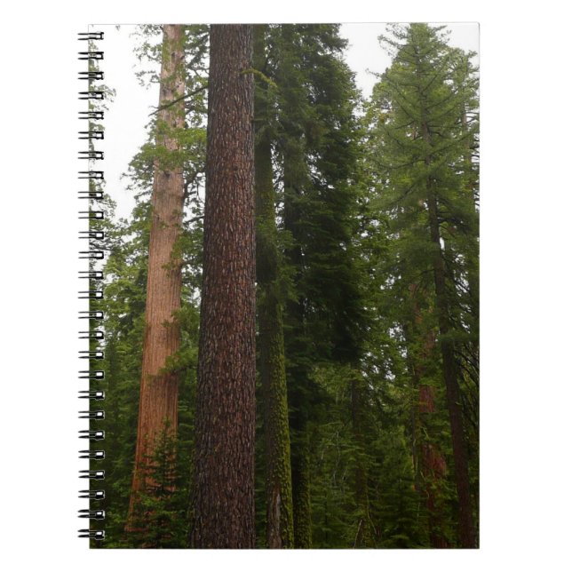 Carnet Mariposa Grove dans le parc national de Yosemite (Devant)