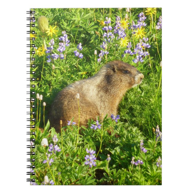 Carnet Marmotte dans les fleurs sauvages du mont Rainier (Devant)