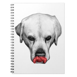 Carnet Marqué en rouge