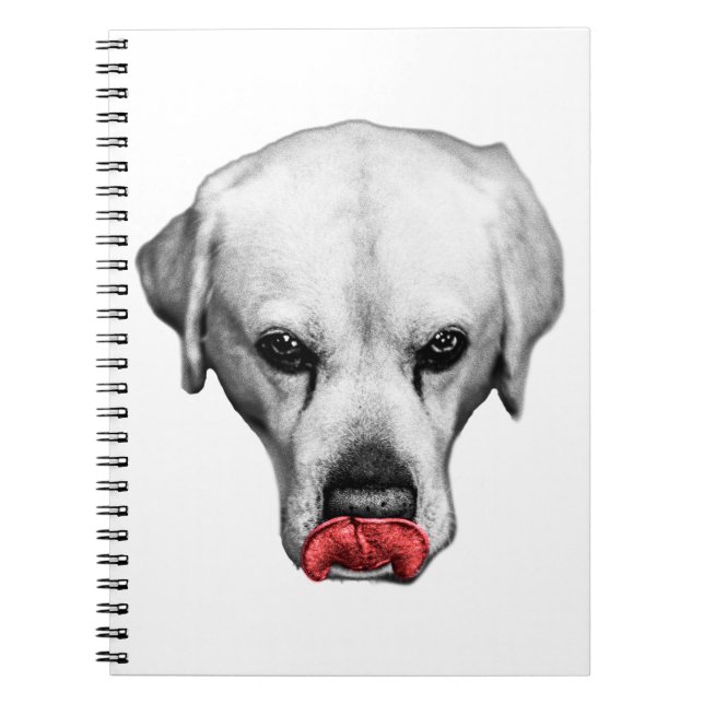 Carnet Marqué en rouge (Devant)