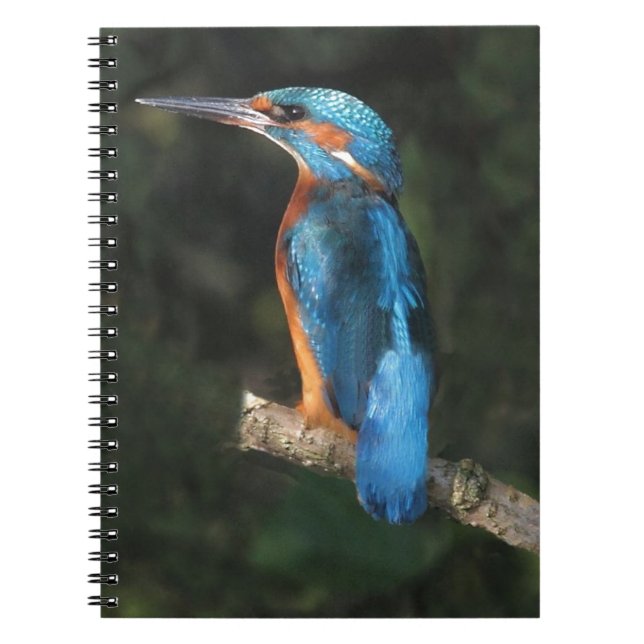 Carnet Martin-pêcheur (Devant)