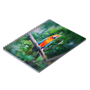 Carnet Martinique Macaw