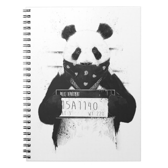 Carnet Mauvais panda (Devant)