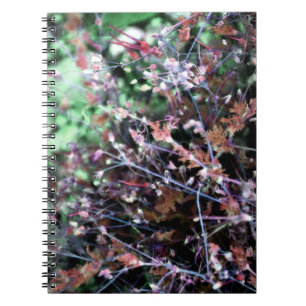Carnet Mauvaises herbes en noir, vert et blanc