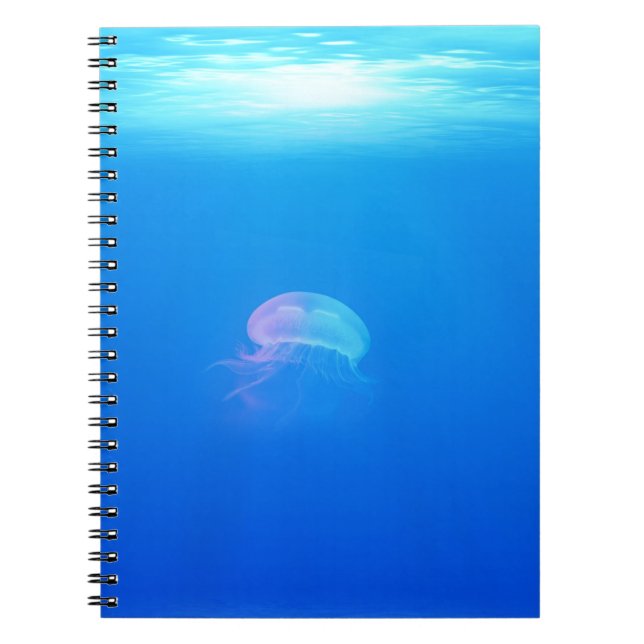 Carnet méduse-698521 CRÉATURES DE MER ANIMAUX OCÉAN BLEU (Devant)