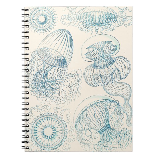 Carnet Méduse Ernst Haeckel Art scientifique vintage (Devant)