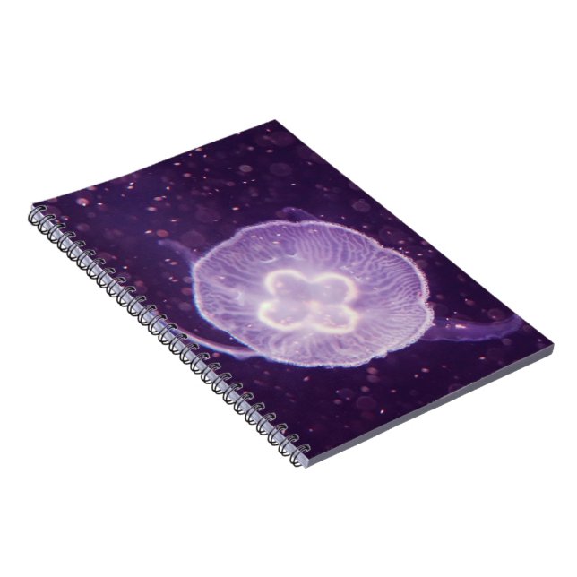 Carnet Méduse natante (Côté Droit)