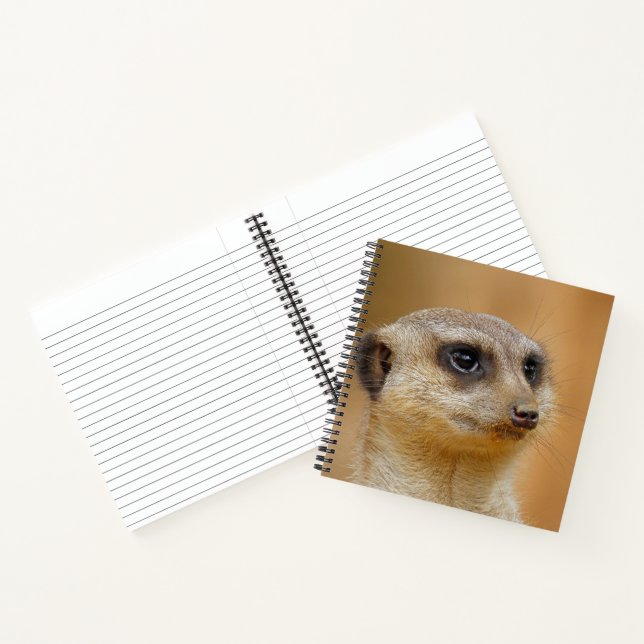 Carnet Meerkat 154 (Intérieur)