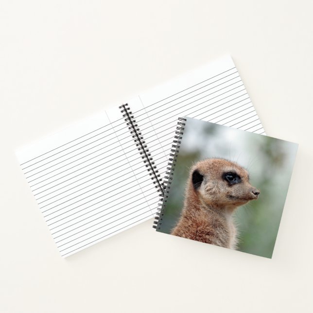 Carnet Meerkat 180 (Intérieur)