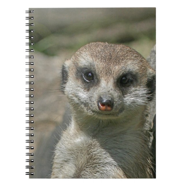 Carnet Meerkat-portrait 003 (Devant)