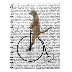 Carnet Meerkat sur Black Penny Farthing