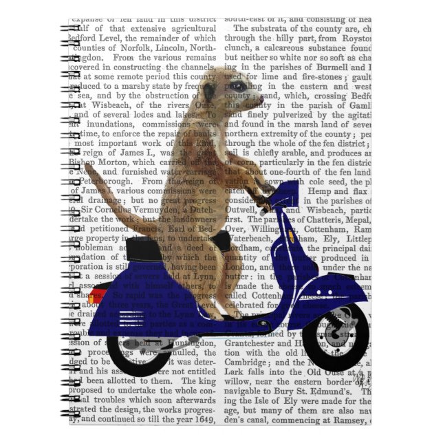 Carnet Meerkat sur Dark Blue Moped (Devant)