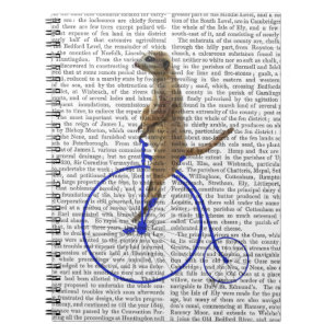 Carnet Meerkat sur le quart de penny bleu de penny