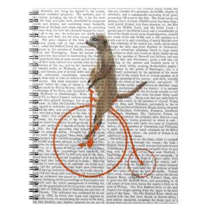 Carnet Meerkat sur le quart de penny orange de penny