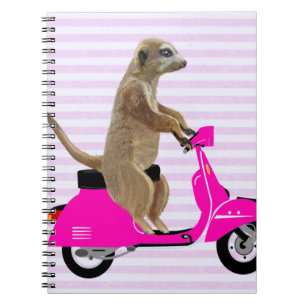 Carnet Meerkat sur le rose a broyé du noir 2