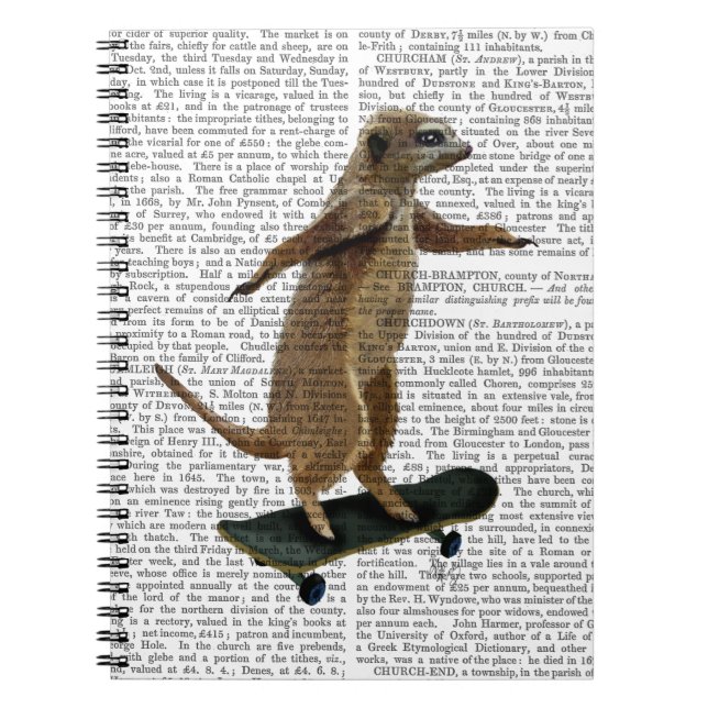 Carnet Meerkat Sur Skateboard 2 (Devant)