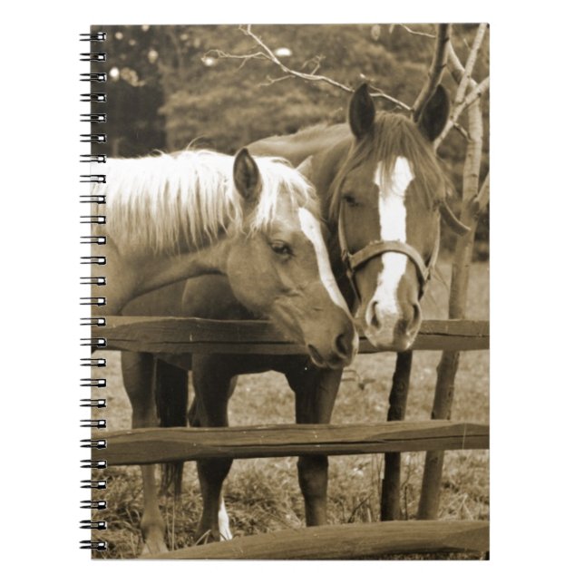 Carnet Meilleurs amis (Devant)