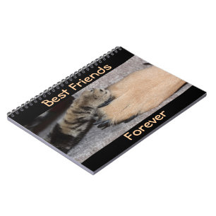 Carnet Meilleurs amis pour toujours par Shirley Taylor
