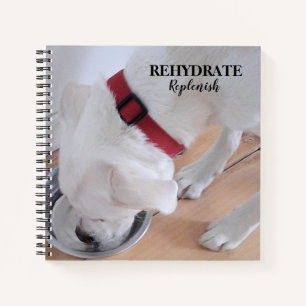 Carnet Mélange blanc Labrador Mélange Chien Chien Chien C
