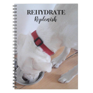 Carnet Mélange blanc Labrador Mélange Chien Chien Chien C