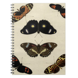 Carnet Mélange coloré de papillon sur l'arrière - plan