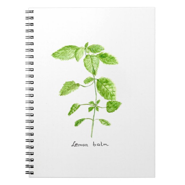 Carnet Mélisse eau jardin aquarelle (Devant)