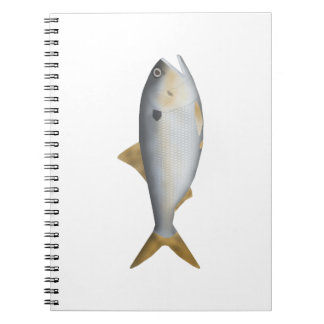 Carnet Menhaden d'Argentine