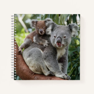 Carnet Mère et bébé Ours Koala