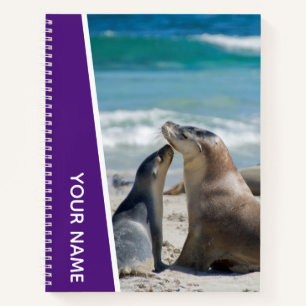 Carnet Mère et petit otarie sur la plage, Australie, Viol