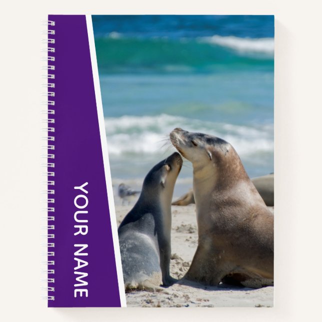 Carnet Mère et petit otarie sur la plage, Australie, Viol (Devant)