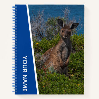 Carnet Mère kangourou en Australie, bleu personnalisé