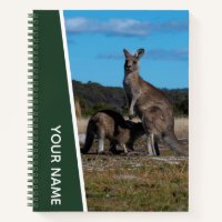 Mère kangourou et bébé en Australie, vert