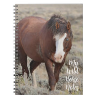 Mes notes de cheval sauvage
