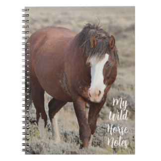 Carnet Mes notes de cheval sauvage