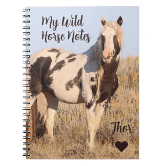 Carnet Mes notes de cheval sauvage Thor