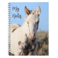 Mes Notes Wild Horse Thora