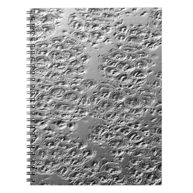 Carnet Métal argenté endommagé (Devant)