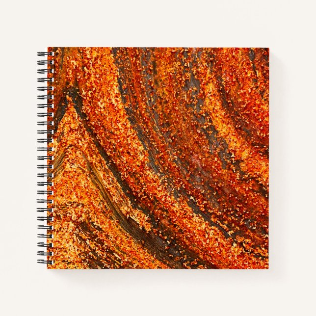 Carnet Métal rouillé (Devant)