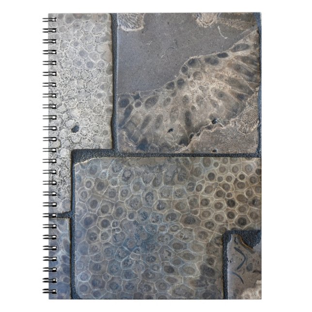 Carnet Michigan Petoskey Stone (Devant)