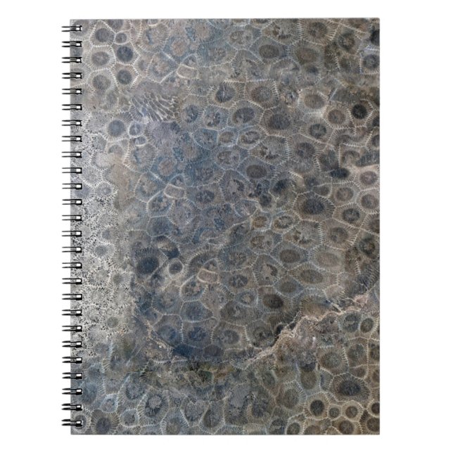 Carnet Michigan Petoskey Stone Motif (Devant)