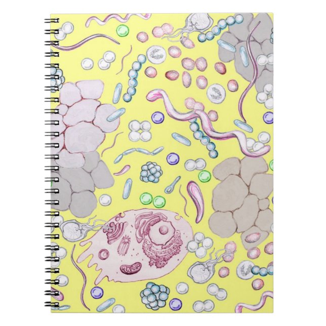 Carnet Microbiologie En Jaune (Devant)